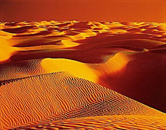 索尼为《往日不再》开发商新IP投入2.5亿美元支持