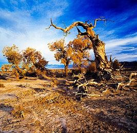 《Sky光·遇》现已登陆PS 《风之旅人》包同步推出