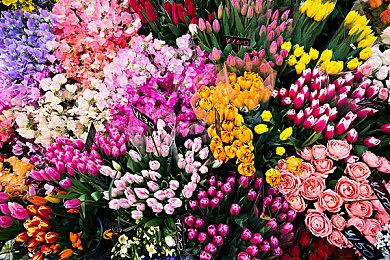 爽快拼刀的类银河城《偏差者》首曝PV 参加Steam新品节