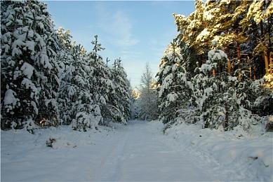 好评高速VR游戏《僚机计划》登陆PSVR2平台