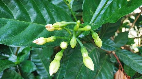 《异度之刃X：终极版》与原版对比视频 新内容介绍